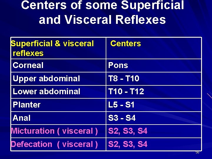 Centers of some Superficial and Visceral Reflexes Superficial & visceral reflexes Corneal Centers Pons