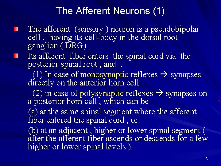The Afferent Neurons (1) The afferent (sensory ) neuron is a pseudobipolar cell ,
