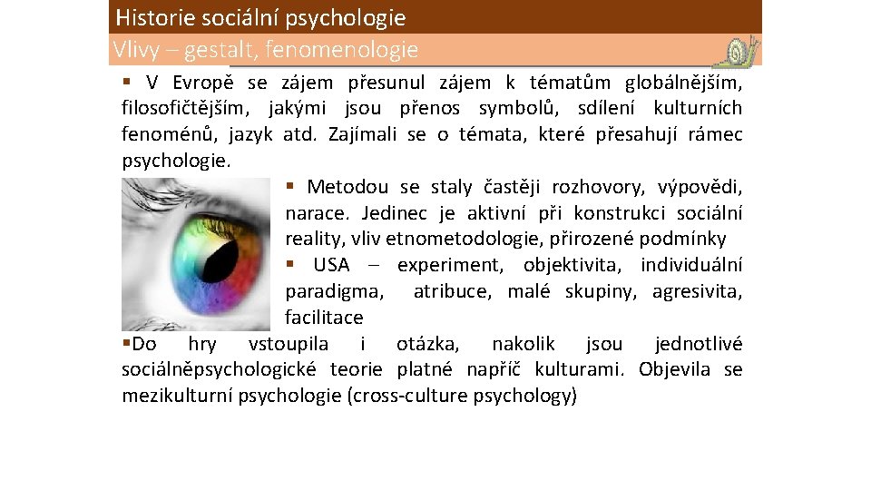 Historie sociální psychologie Vlivy – gestalt, fenomenologie § V Evropě se zájem přesunul zájem
