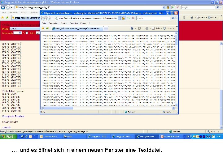 …. und es öffnet sich in einem neuen Fenster eine Textdatei. 