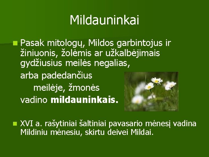 Mildauninkai n Pasak mitologų, Mildos garbintojus ir žiniuonis, žolėmis ar užkalbėjimais gydžiusius meilės negalias,