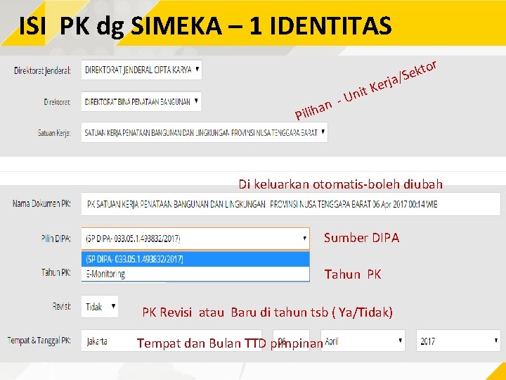 ISI PK dg SIMEKA – 1 IDENTITAS rj an h i l i P