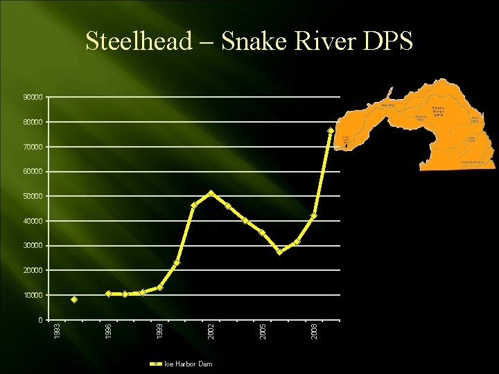 Steelhead – Snake River DPS 90000 80000 70000 60000 50000 40000 30000 20000 Ice