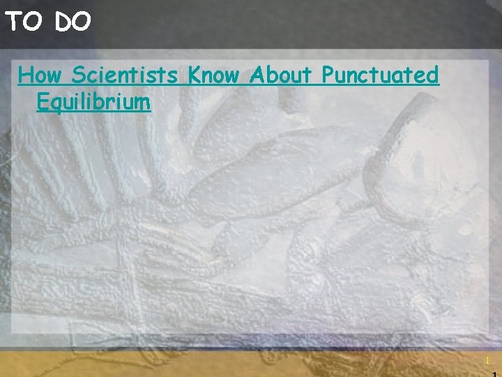 TO DO How Scientists Know About Punctuated Equilibrium 1 1 
