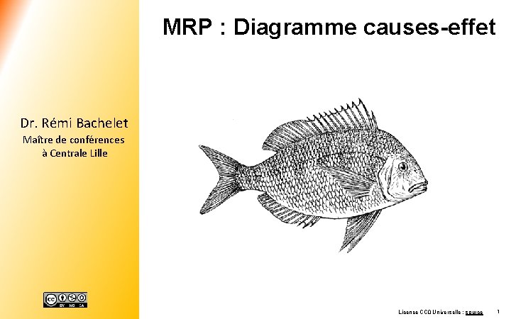 MRP : Diagramme causes-effet Dr. Rémi Bachelet Maître de conférences à Centrale Lille Licence