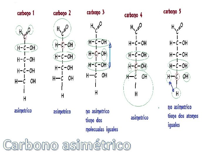 Carbono asimétrico 