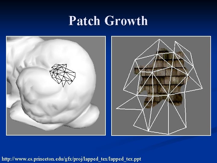 Patch Growth http: //www. cs. princeton. edu/gfx/proj/lapped_tex. ppt 