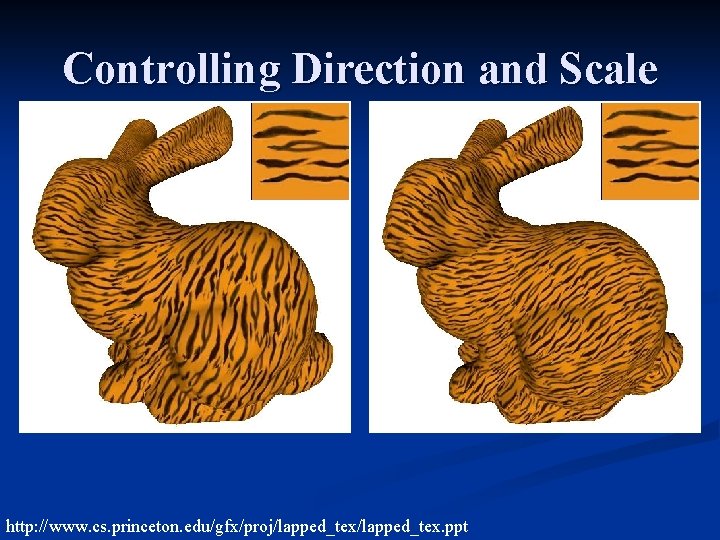 Controlling Direction and Scale http: //www. cs. princeton. edu/gfx/proj/lapped_tex. ppt 