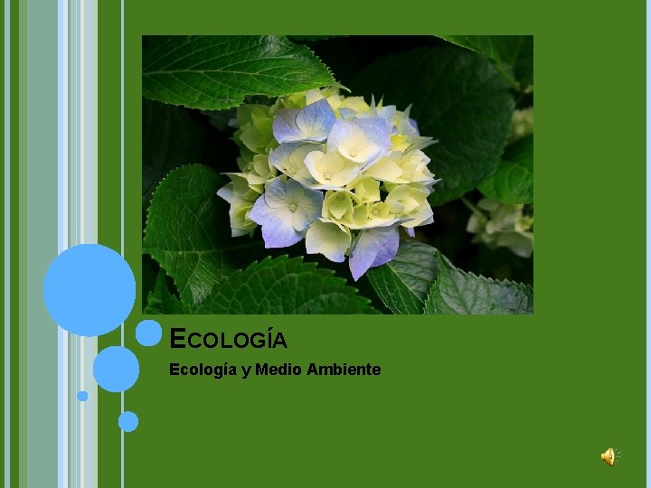ECOLOGÍA Ecología y Medio Ambiente 