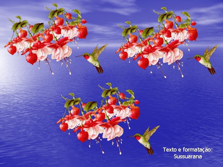 Texto e formatação: Sussuarana 