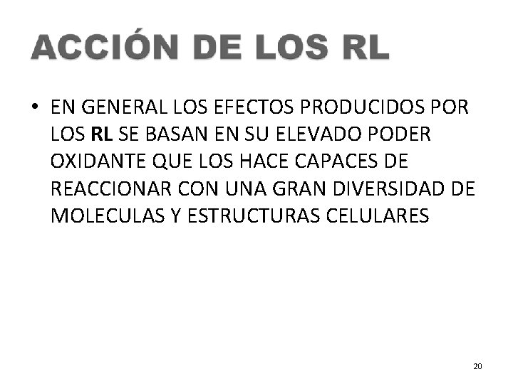  • EN GENERAL LOS EFECTOS PRODUCIDOS POR LOS RL SE BASAN EN SU