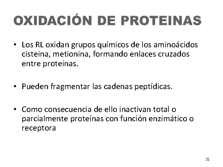  • Los RL oxidan grupos químicos de los aminoácidos cisteina, metionina, formando enlaces
