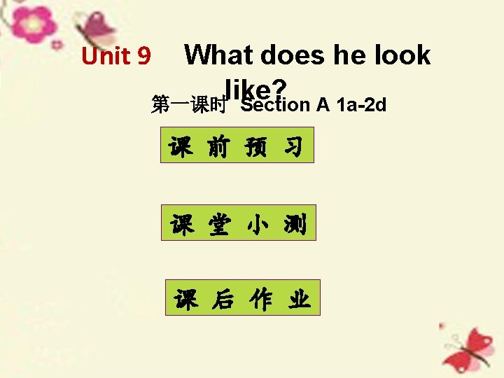 Unit 9 What does he look like? 第一课时 Section A 1 a-2 d 课