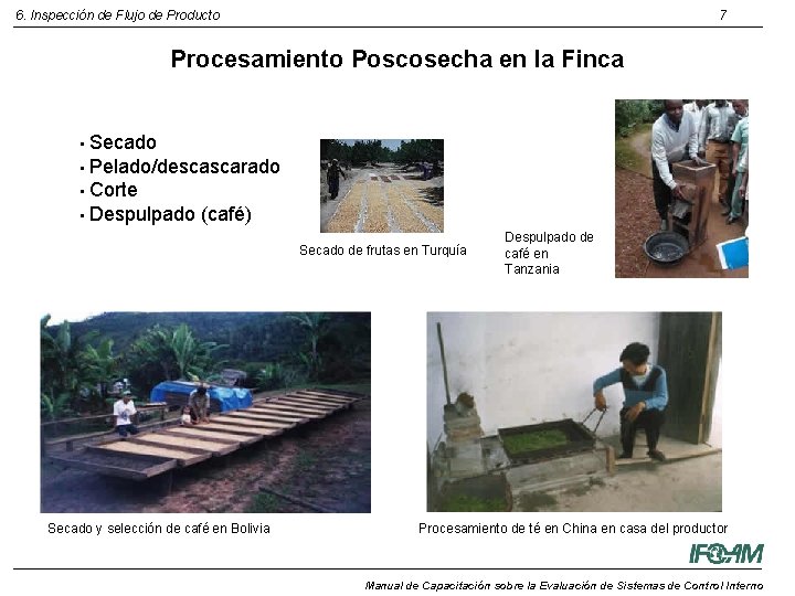 6. Inspección de Flujo de Producto 7 Procesamiento Poscosecha en la Finca • Secado