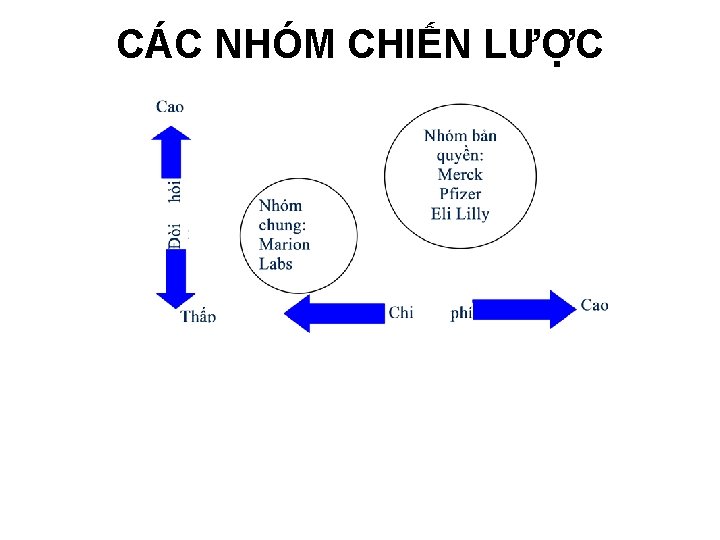 CÁC NHÓM CHIẾN LƯỢC 