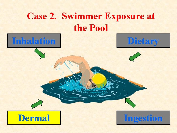 Case 2. Swimmer Exposure at the Pool Inhalation Dietary Dermal Ingestion 