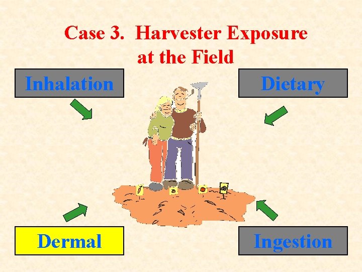 Case 3. Harvester Exposure at the Field Inhalation Dietary Dermal Ingestion 