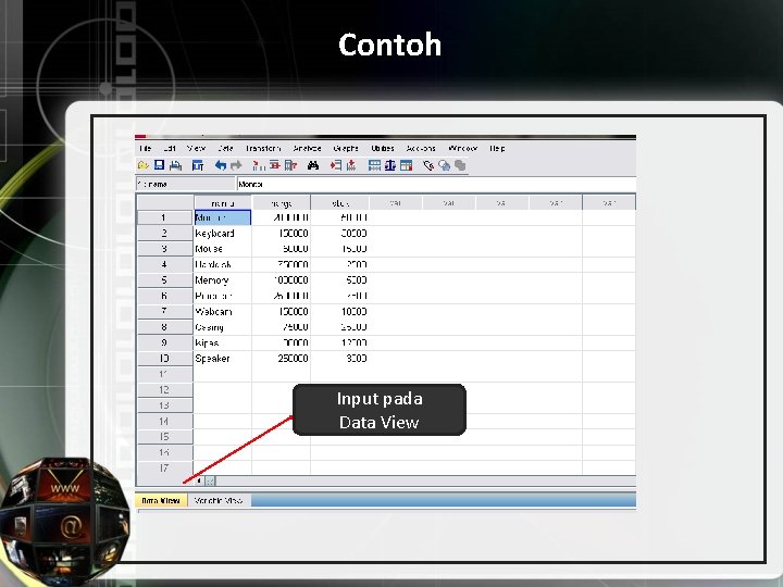 Contoh Input pada Data View 