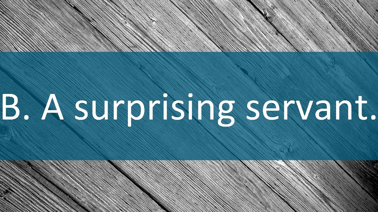 B. A surprising servant. 