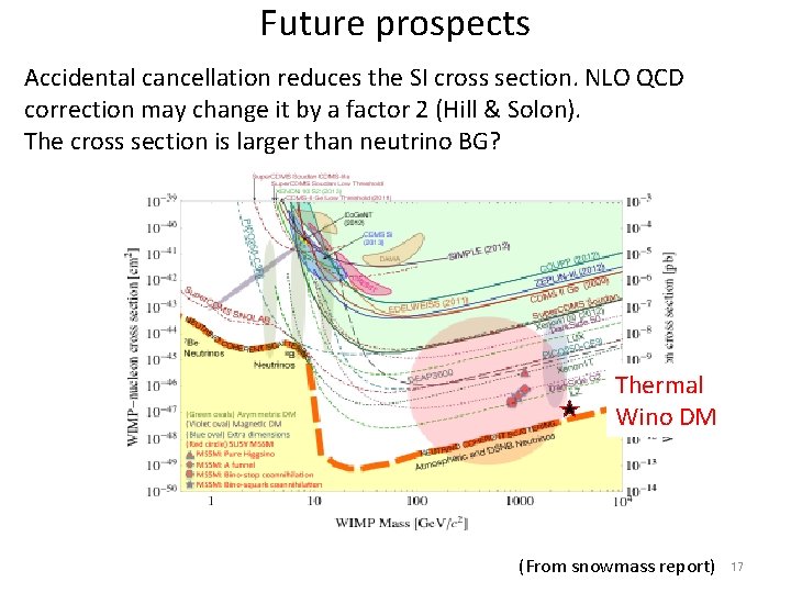 Future prospects Accidental cancellation reduces the SI cross section. NLO QCD correction may change