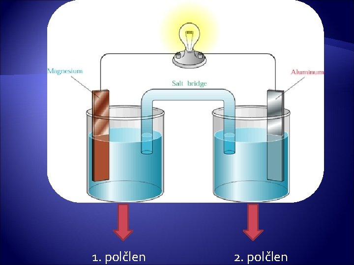 1. polčlen 2. polčlen 