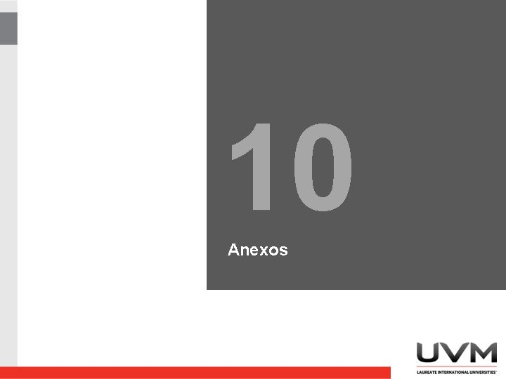 10 Anexos 