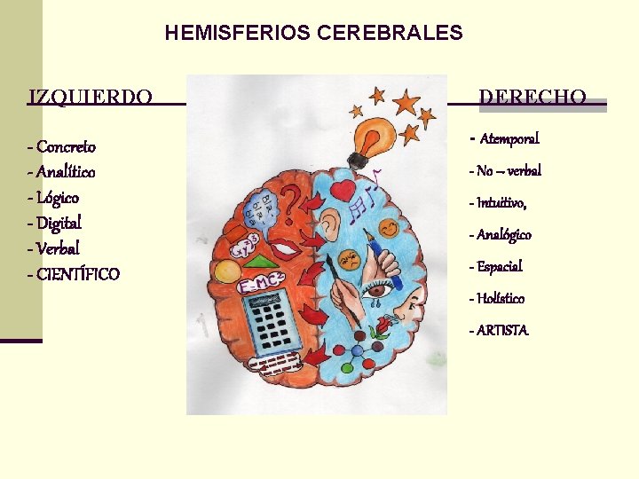 HEMISFERIOS CEREBRALES IZQUIERDO - Concreto - Analítico - Lógico - Digital - Verbal -