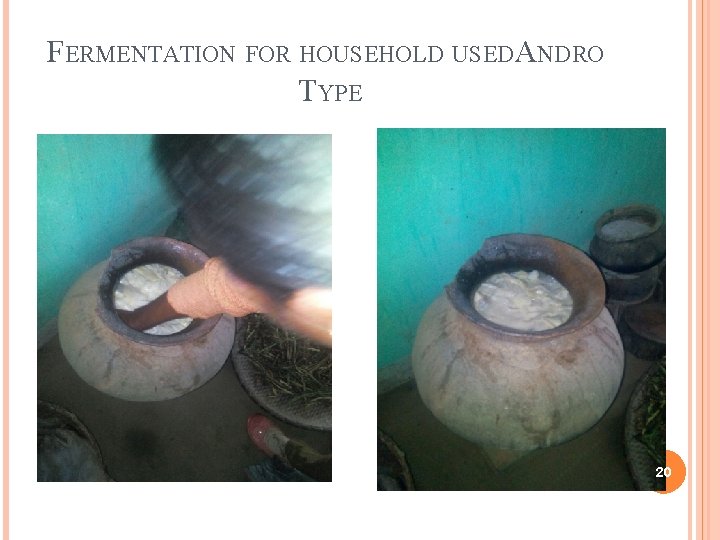 FERMENTATION FOR HOUSEHOLD USEDANDRO TYPE 20 