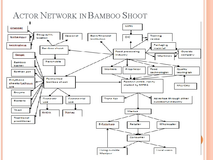 ACTOR NETWORK IN BAMBOO SHOOT 29 