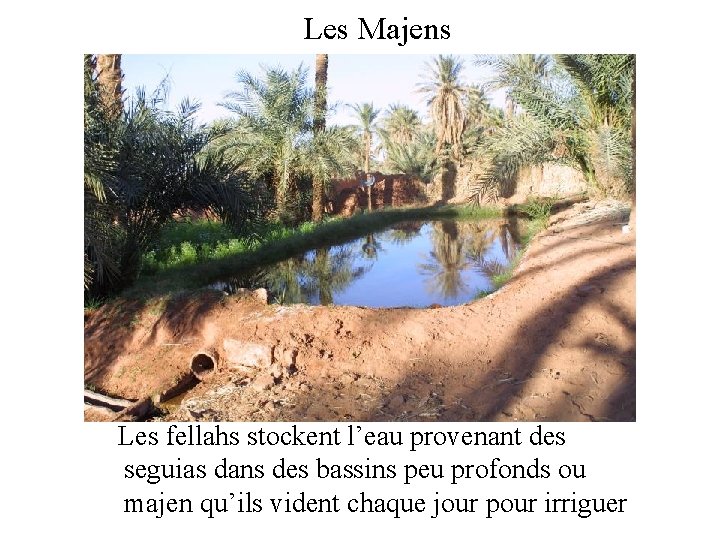 Les Majens Les fellahs stockent l’eau provenant des seguias dans des bassins peu profonds