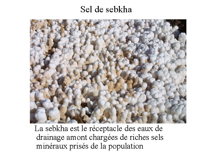 Sel de sebkha La sebkha est le réceptacle des eaux de drainage amont chargées