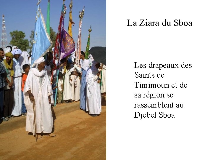 La Ziara du Sboa Les drapeaux des Saints de Timimoun et de sa région