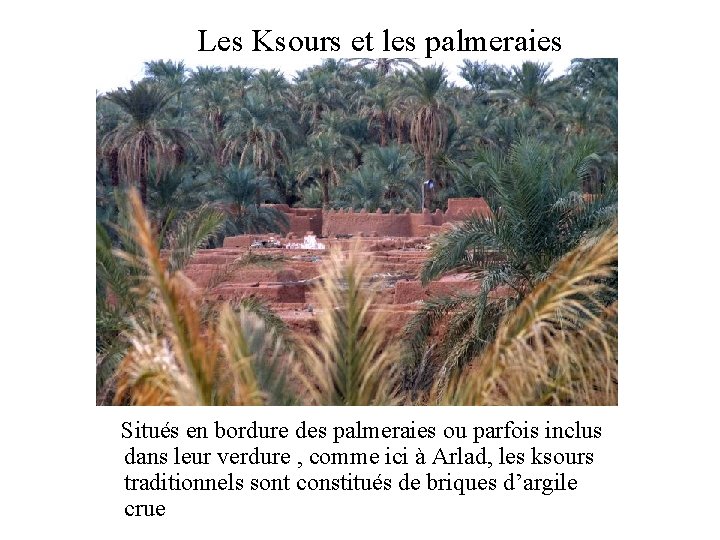 Les Ksours et les palmeraies Situés en bordure des palmeraies ou parfois inclus dans