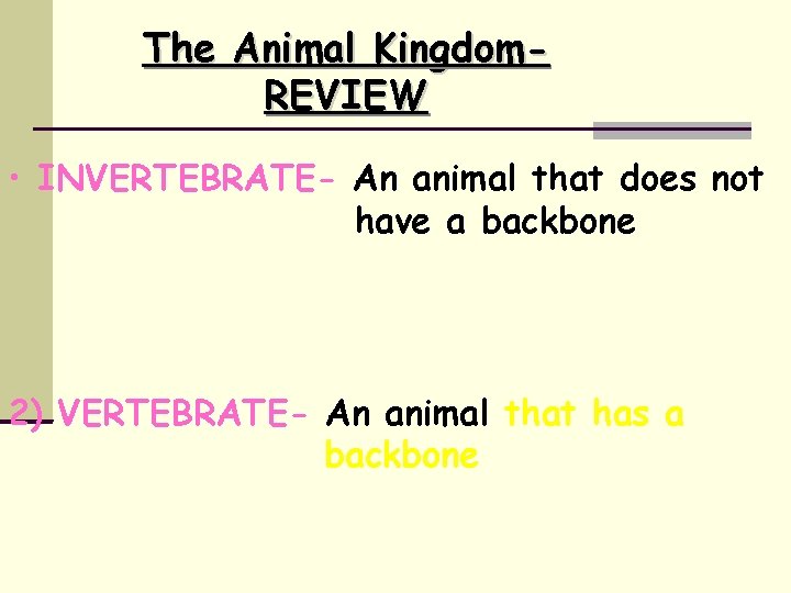 The Animal Kingdom. REVIEW • INVERTEBRATE- An animal that does not have a backbone