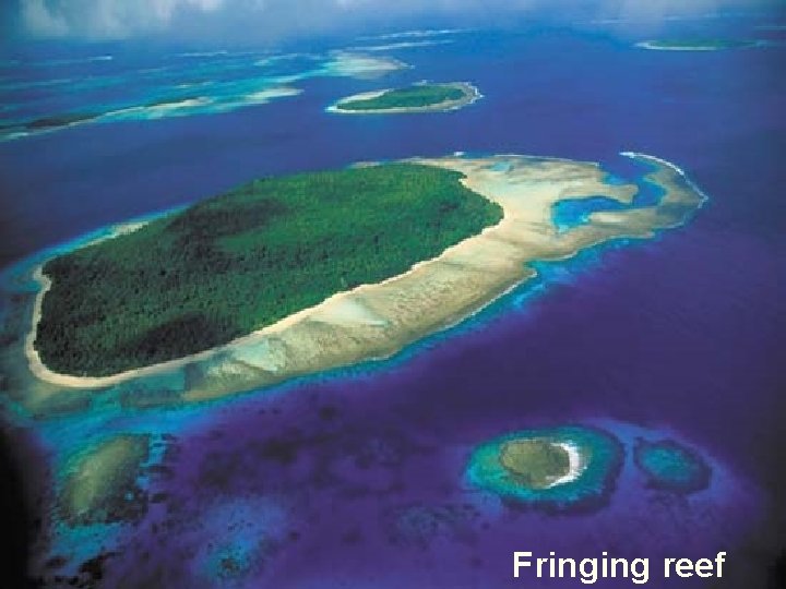 Fringing reef 