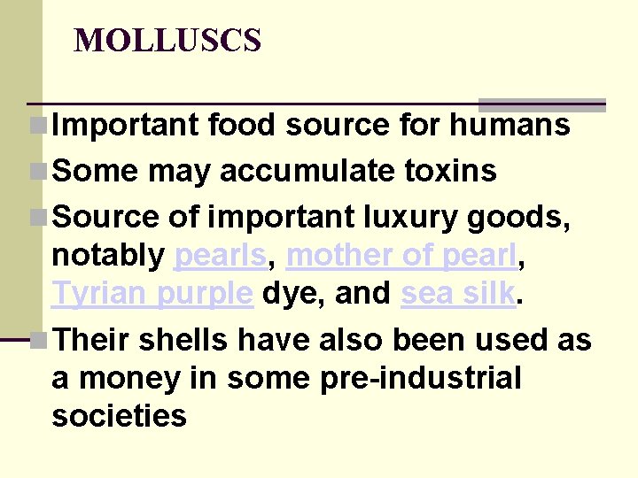 MOLLUSCS Important food source for humans Some may accumulate toxins Source of important luxury