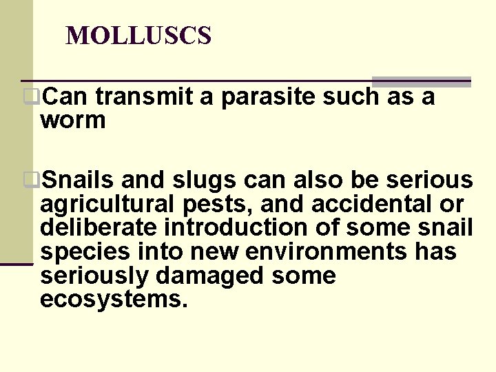 MOLLUSCS Can transmit a parasite such as a worm Snails and slugs can also