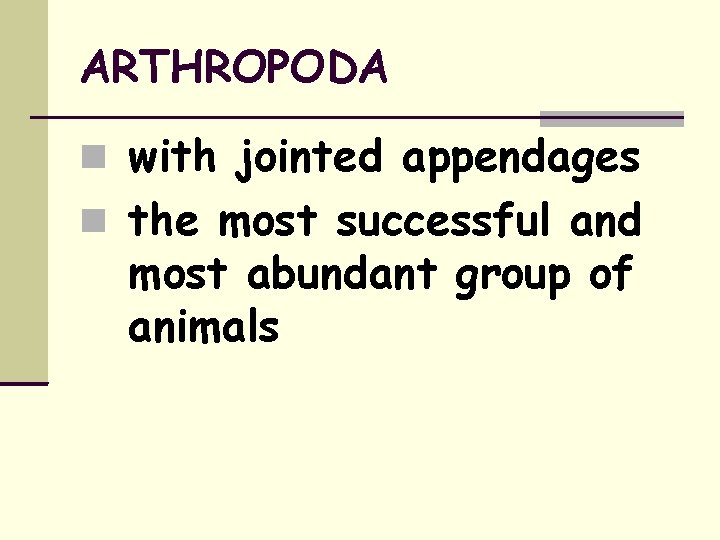 ARTHROPODA with jointed appendages the most successful and most abundant group of animals 