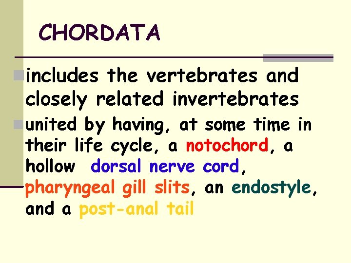 CHORDATA includes the vertebrates and closely related invertebrates united by having, at some time