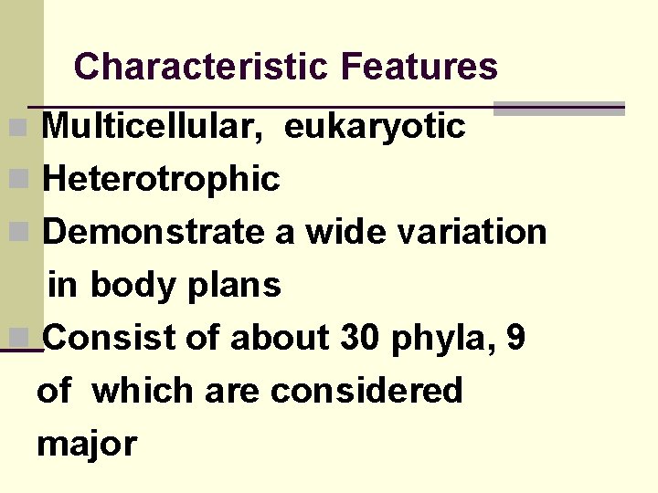 Characteristic Features Multicellular, eukaryotic Heterotrophic Demonstrate a wide variation in body plans Consist of