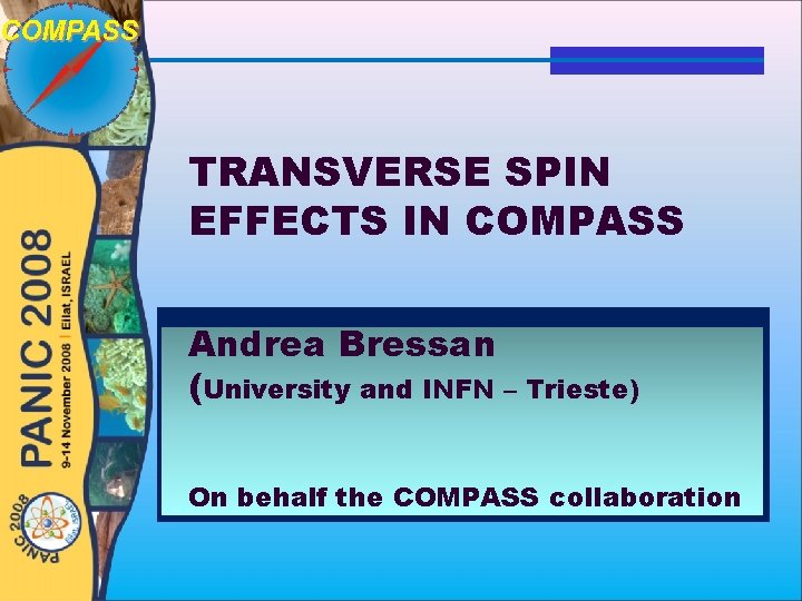 TRANSVERSE SPIN EFFECTS IN COMPASS Andrea Bressan (University and INFN – Trieste) On behalf