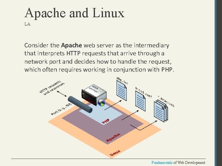 Apache and Linux LA Consider the Apache web server as the intermediary that interprets