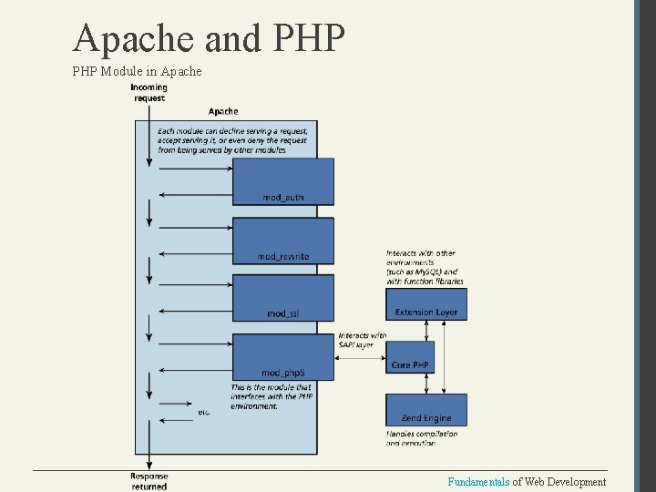 Apache and PHP Module in Apache Fundamentals of Web Development 