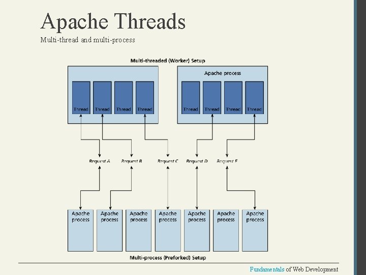 Apache Threads Multi-thread and multi-process Fundamentals of Web Development 