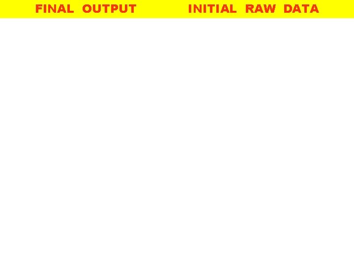 FINAL OUTPUT INITIAL RAW DATA 