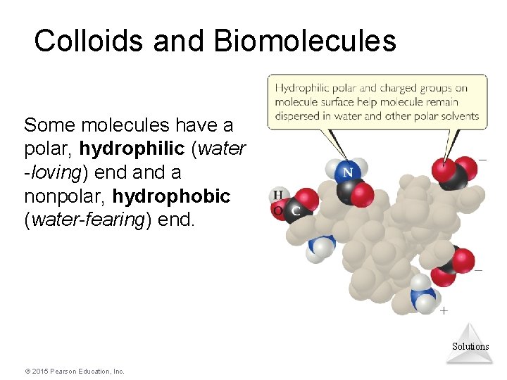 Colloids and Biomolecules Some molecules have a polar, hydrophilic (water -loving) end a nonpolar,