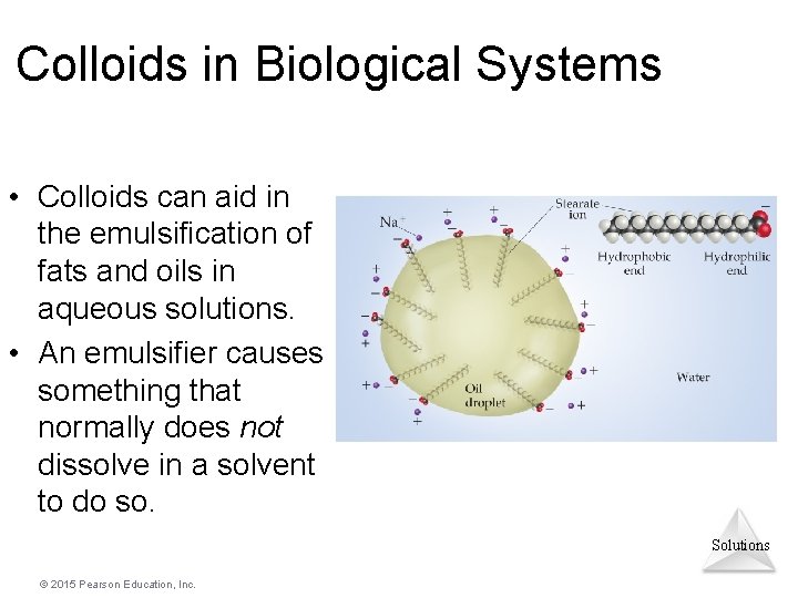 Colloids in Biological Systems • Colloids can aid in the emulsification of fats and