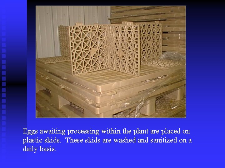 Eggs awaiting processing within the plant are placed on plastic skids. These skids are