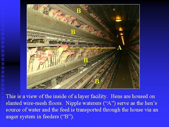 B B A B B This is a view of the inside of a