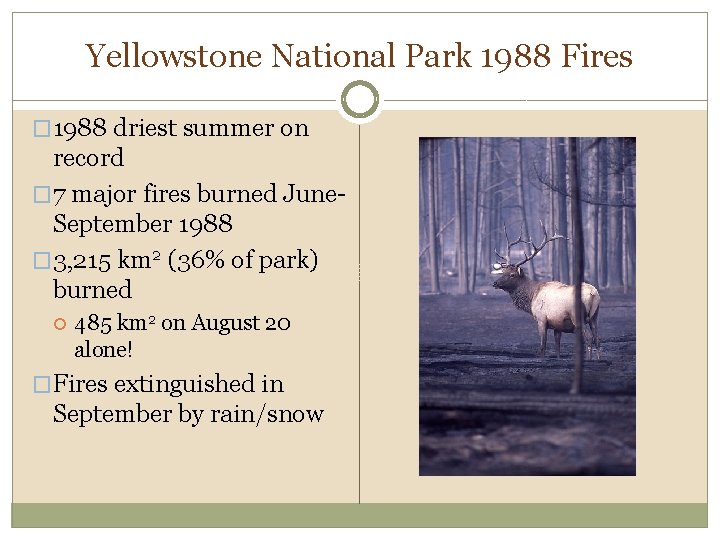 Yellowstone National Park 1988 Fires � 1988 driest summer on record � 7 major